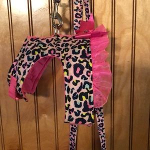 Designer dog collar & leash.